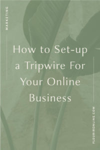 How to Set-up a Tripwire For Your Online Business