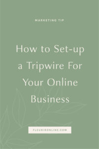 How to set-up a tripwire for your online business